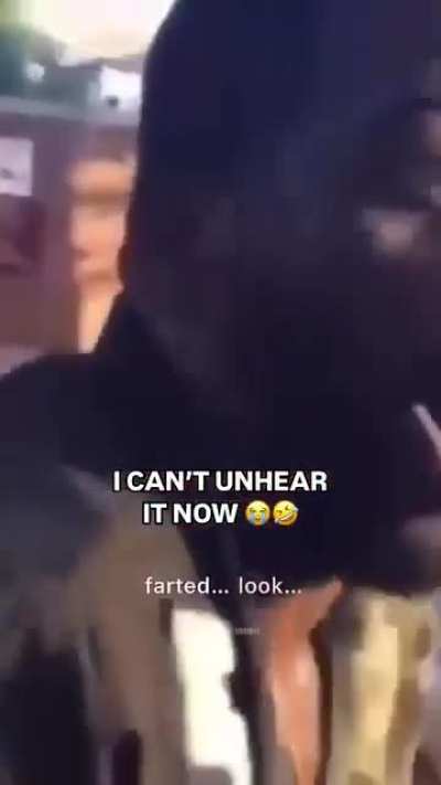 This parody of Chris Brown's No Guidance 😂