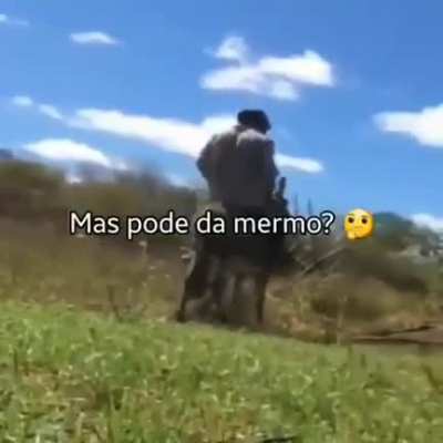 kk