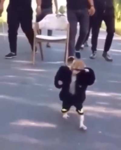 He really do be, out here, pimp chimping