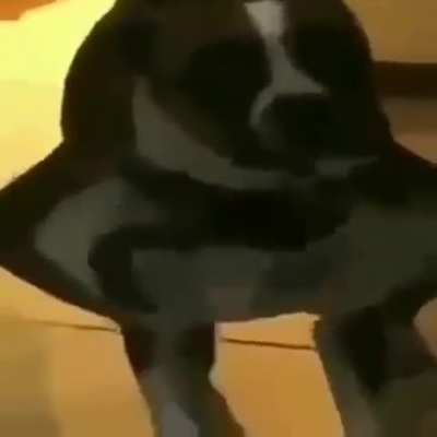 rar