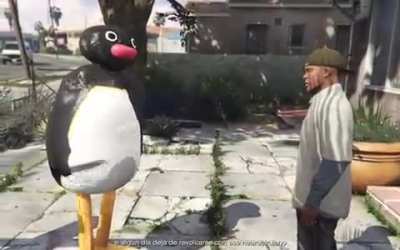noot noot
