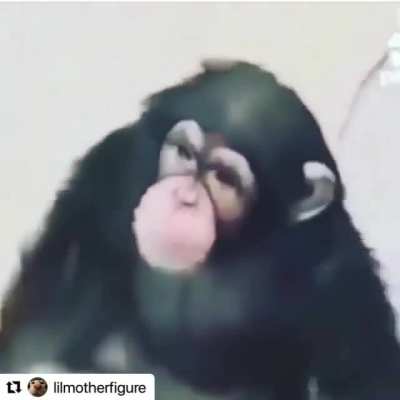 Monke in da bathroom (sound on)