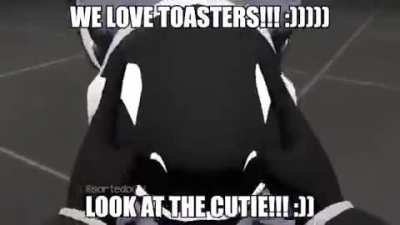 Where is my fucking Furry flair Moderators