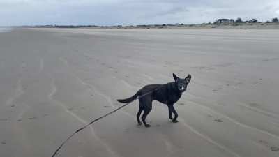 Windy at the beach