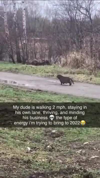 He’s going the distance