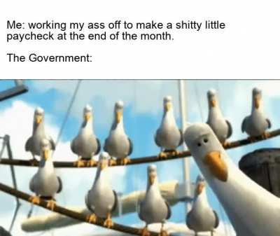 Why work ?