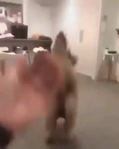 yes