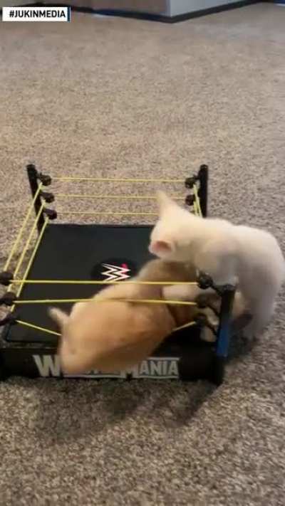 WWE PRO