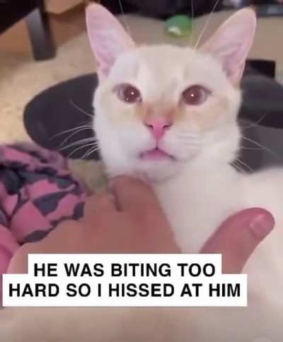his face: damn that kinda hurted me though