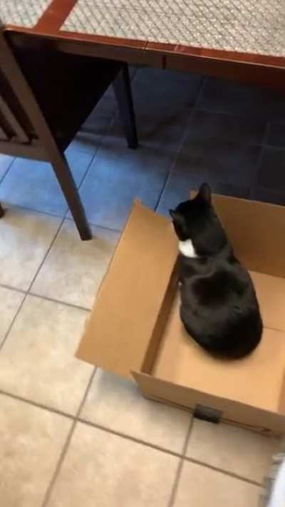 A recent post here reminded me of this video