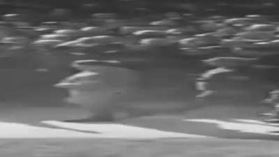 WIDE HITLER WALK