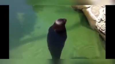 ?