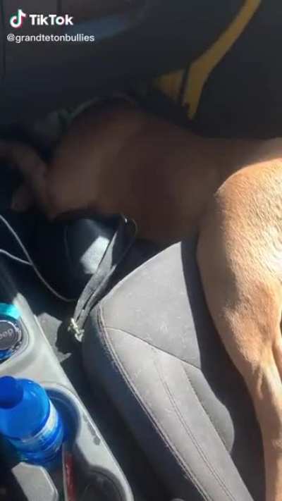 Help me step owner I’m stuck.