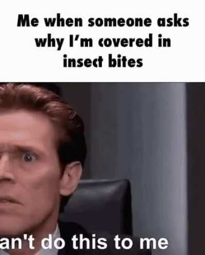 bingleson bites