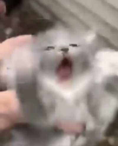 Oh