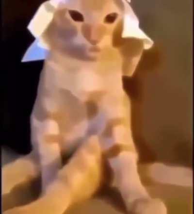 I don’t think I have words for this right now