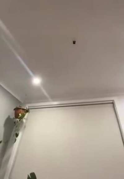 Well that sucks