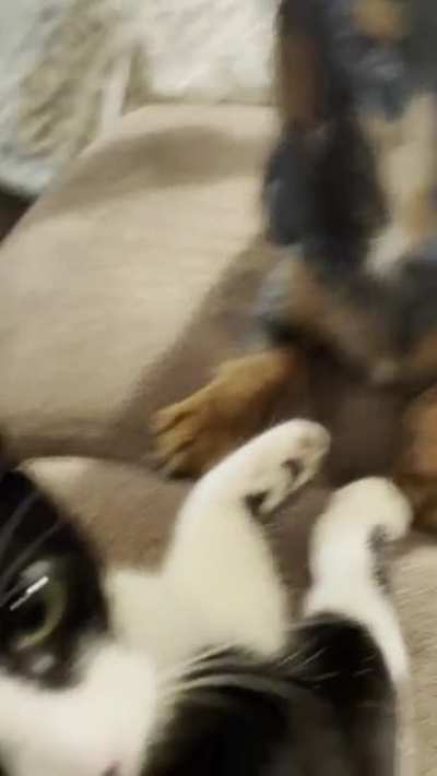 AaaaaaaAAAAA
