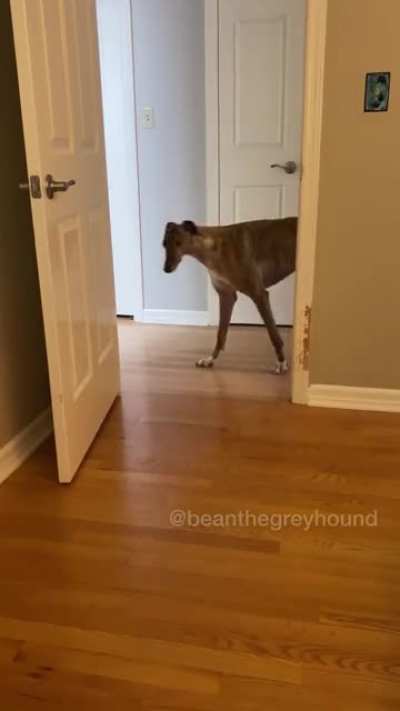 Bean’s up to something