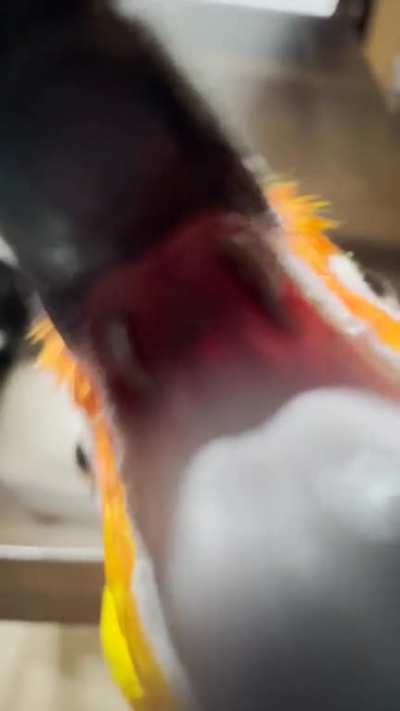 I must eat you!