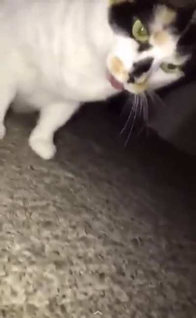 Not really a scream but nonetheless