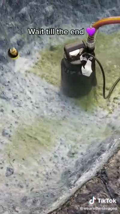 Wait until the end for cuteness
