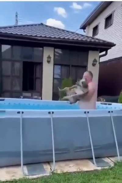 Excited Dog Refuses To Be Denied Its Pool Time