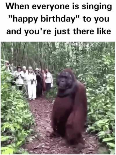 Monke
