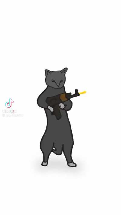 This cat is into something..