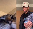 Feline Gambino