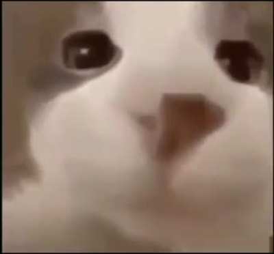🙂