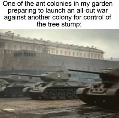 Let battle commence