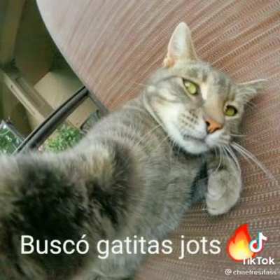 Lo que estaba haciendo la pecky cuando se escapo xd