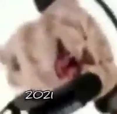 This shit so fire.