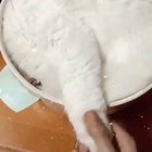 How to make Sourdough