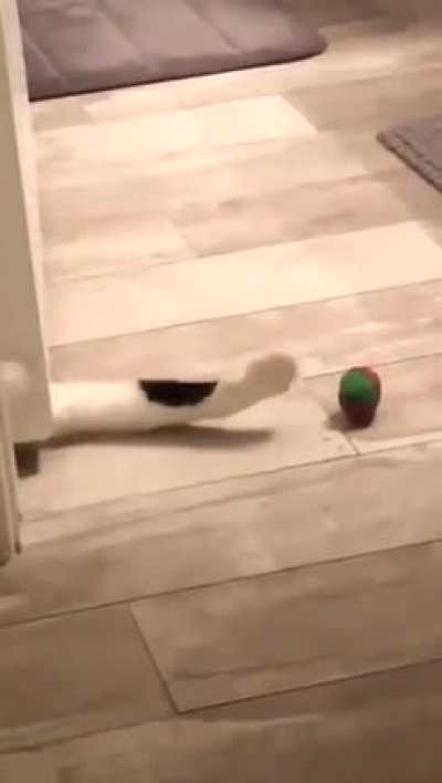 to get the toy