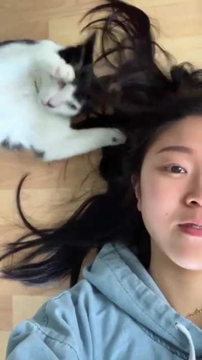 Crazy cat attacking hair