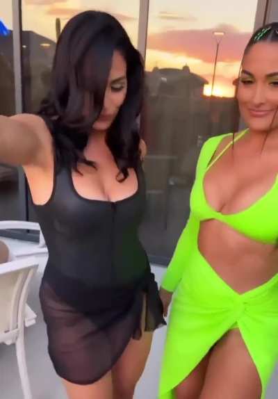 The Bella Twins