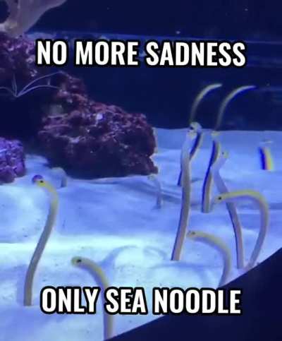No More Sadness 2