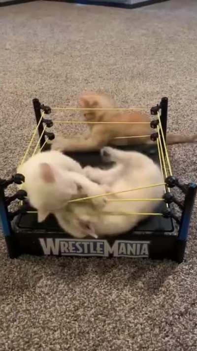 And people said wrestling was all just fake