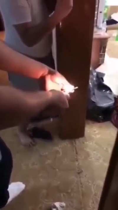 Insert some text..