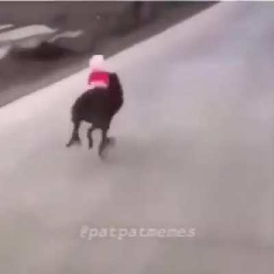:-: