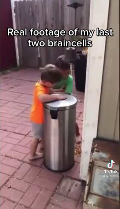 Цветы жизни