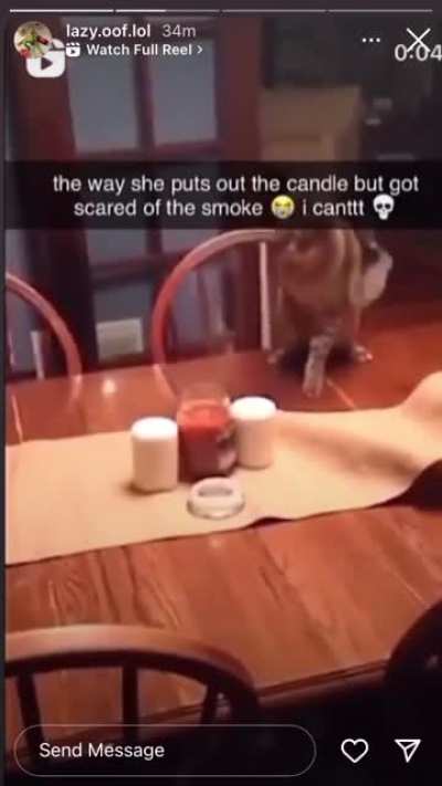 love this video