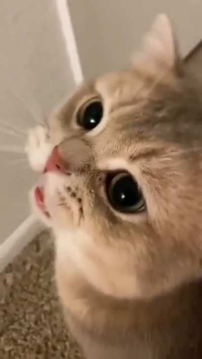 Awwww