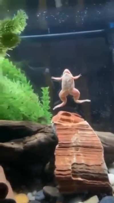 He is the chosen one