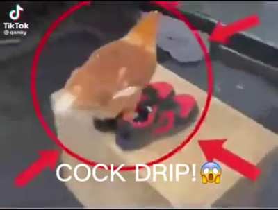 Fat dripping cock