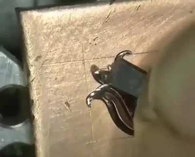 Carving a flower