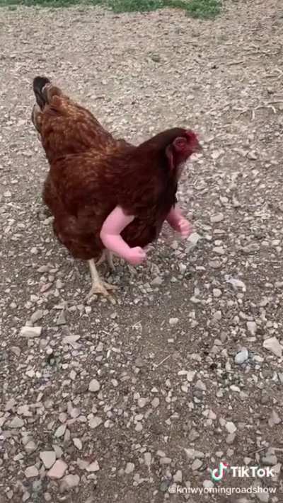 Catch these hands