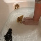 First swim lessons